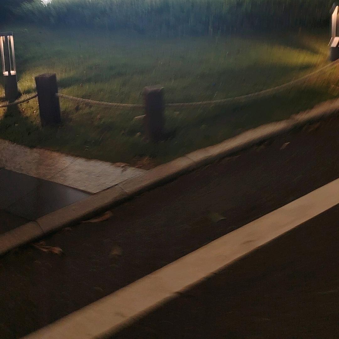 放下执念便是重生