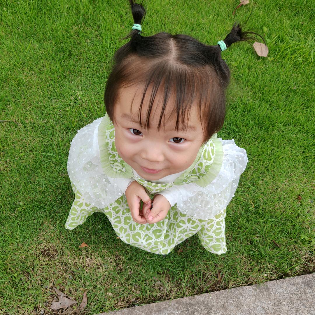 小飞象