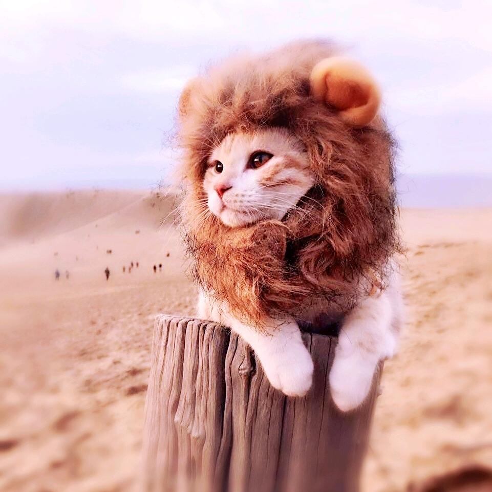 马路边边吃烧烤