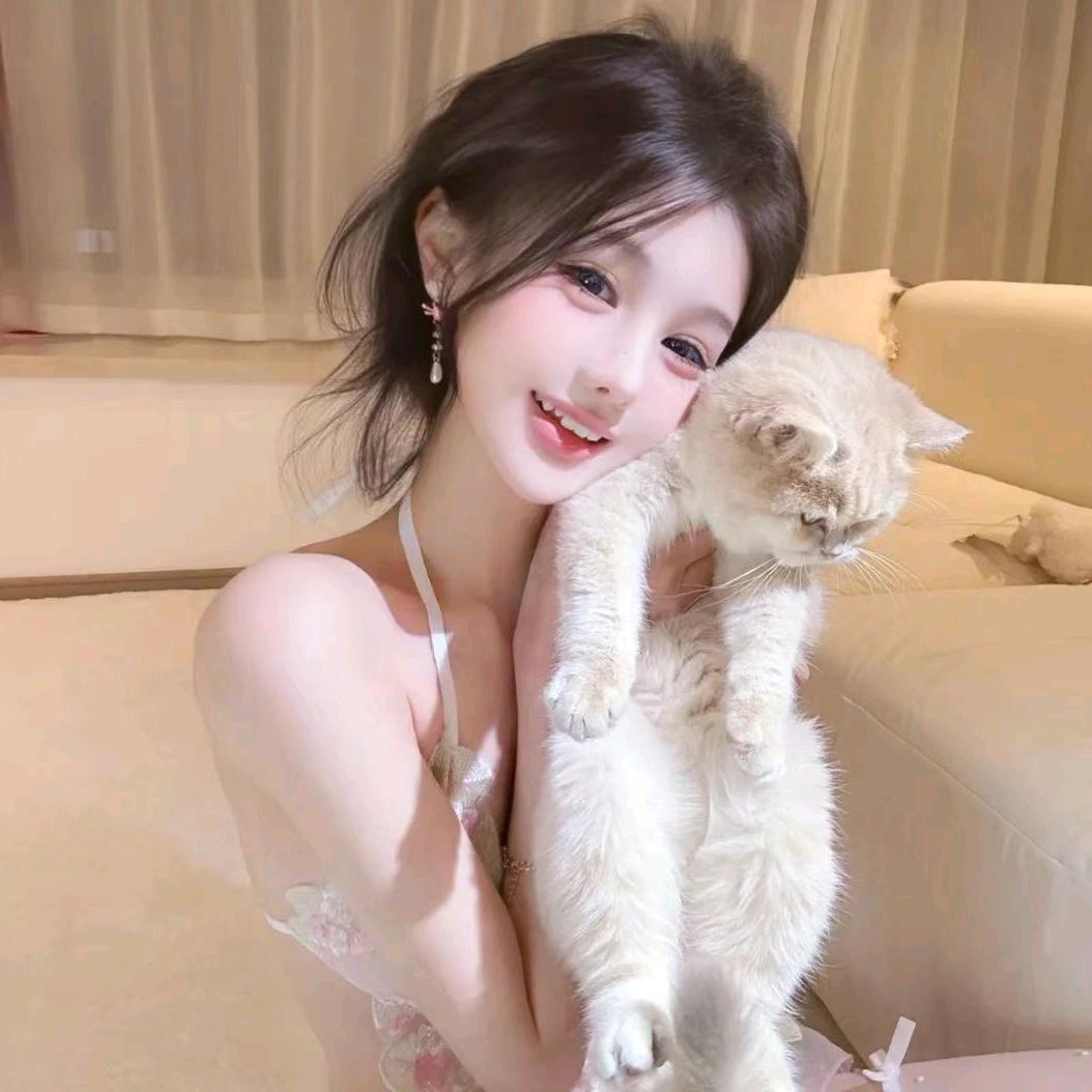 小猫寿司卷🫧