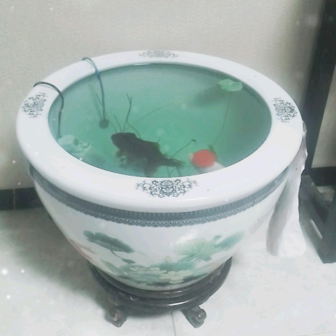 灵璧杨芳居家养老