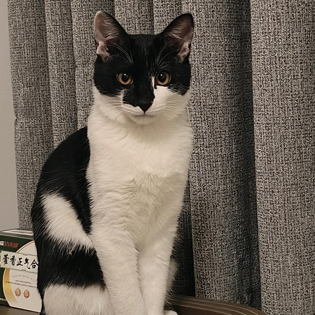 🚬ཀོ张杨跋扈 ꦿ҉࿐