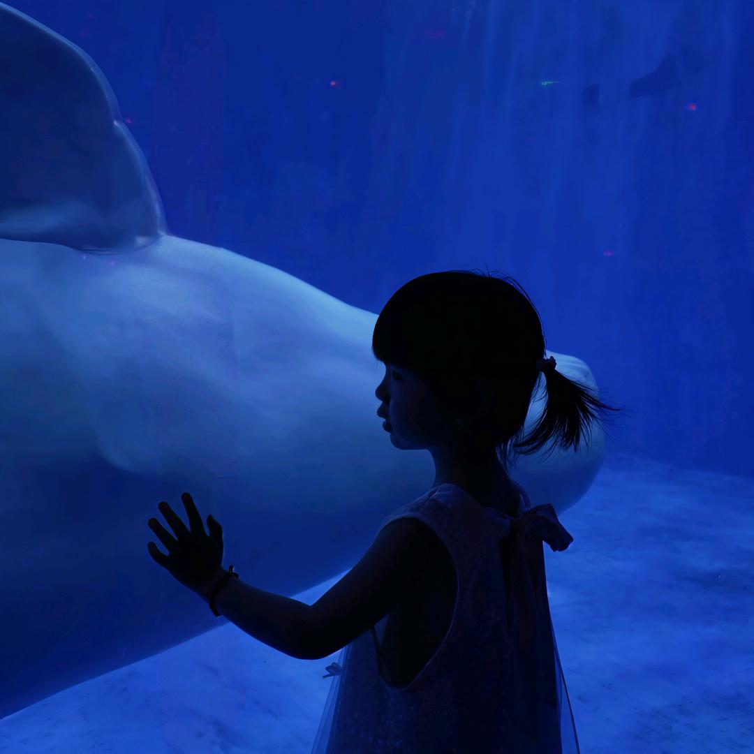 阿司匹林蛋炒饭