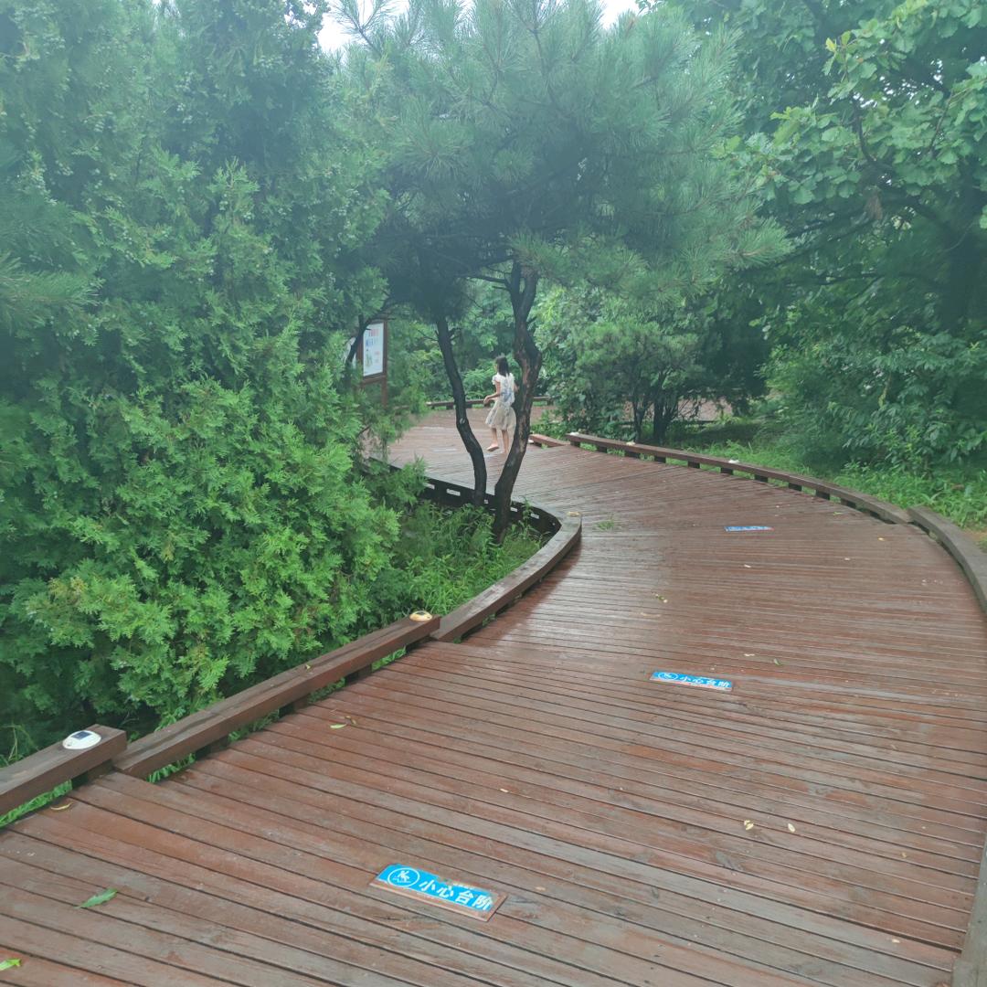 $钱途✔似海☜