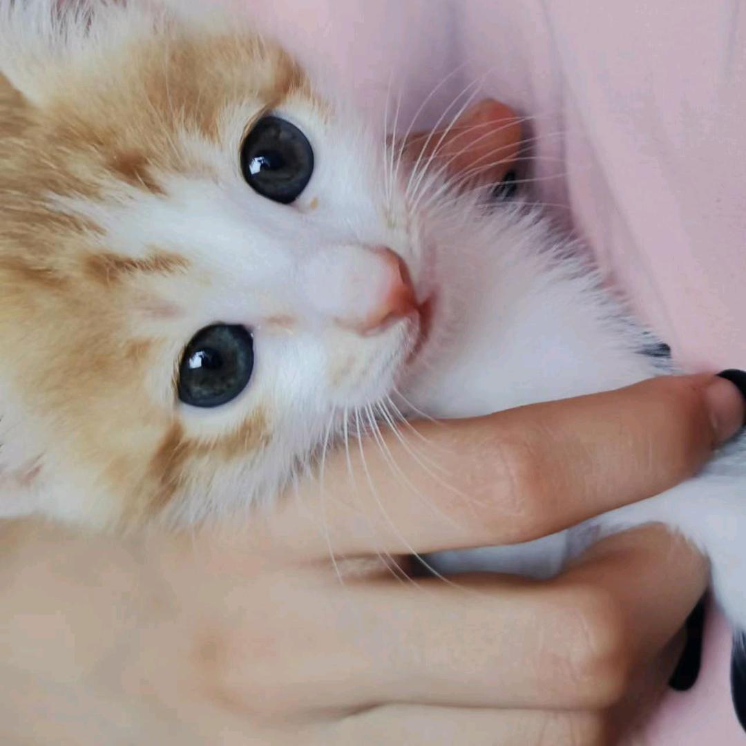 小阿贝贝