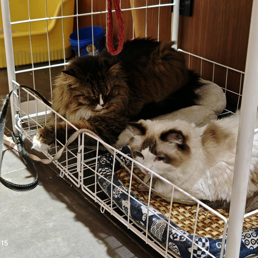 草稿箱