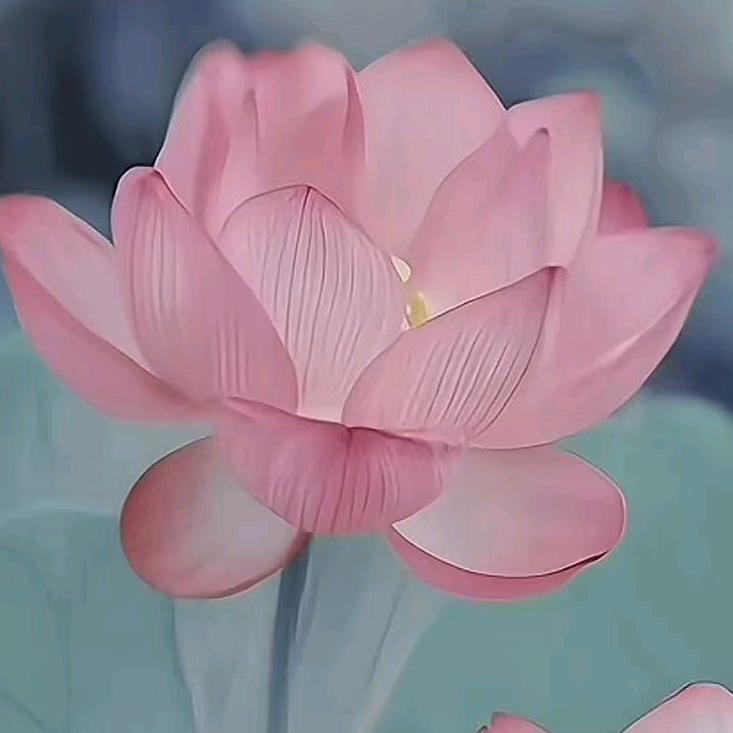 美好生活加油