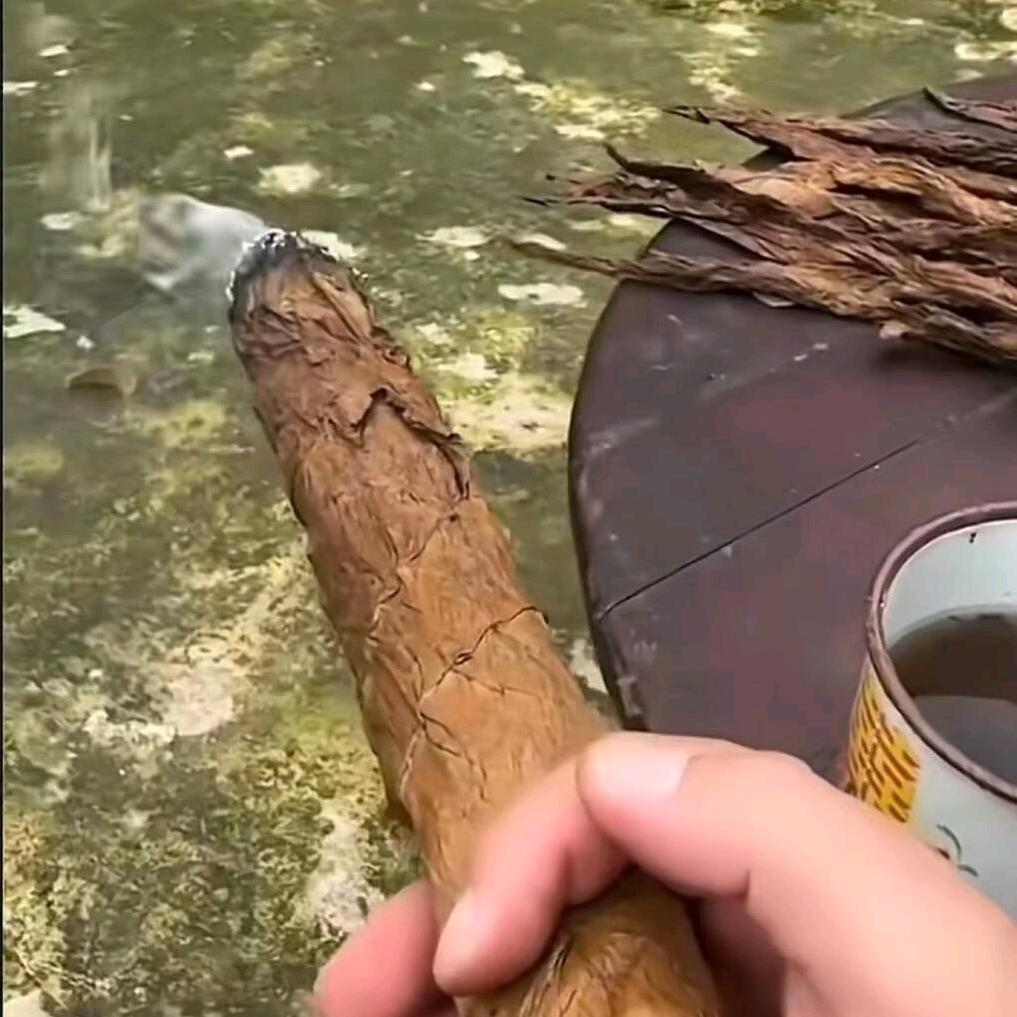 大大大彬子