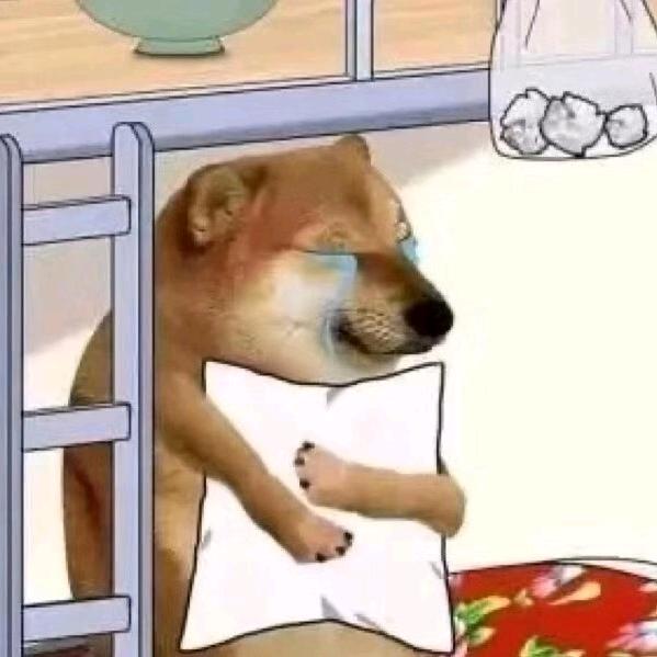 程