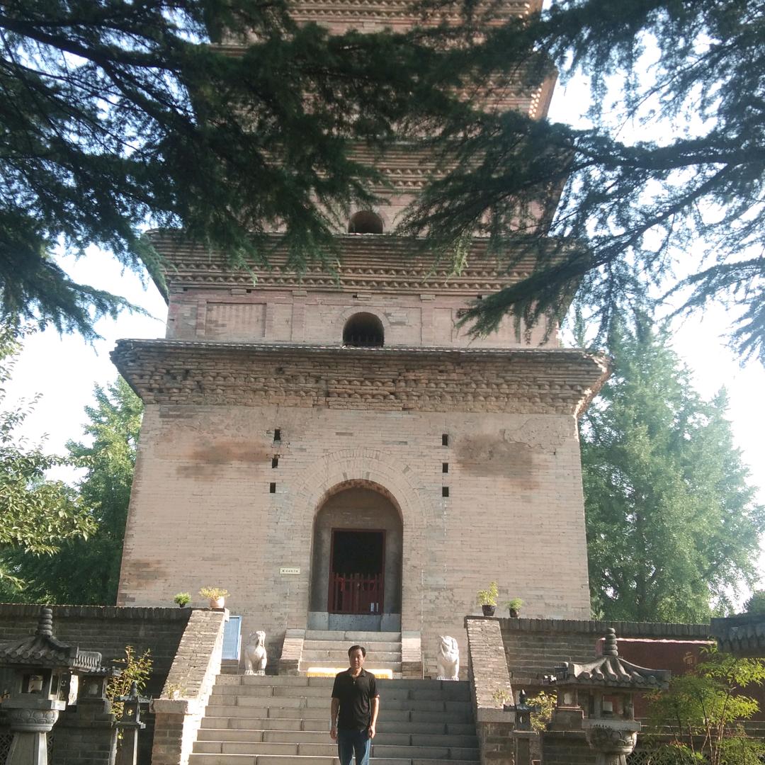 图狼