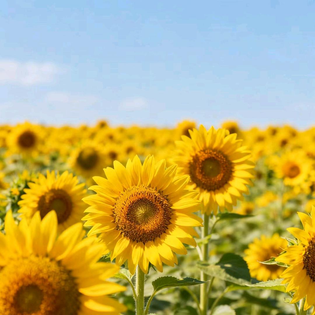 韵彤好物