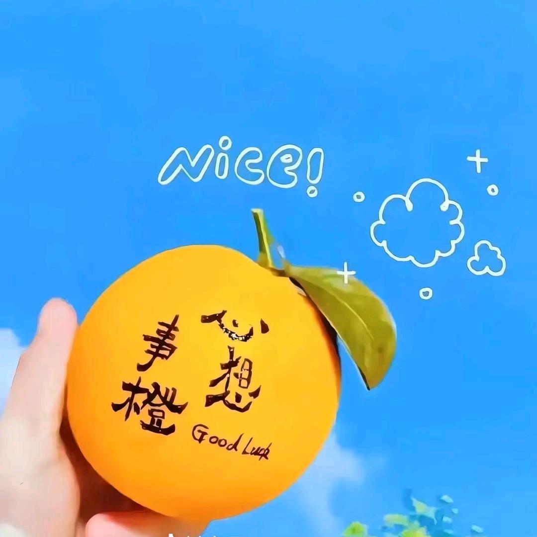 蘑菇小姐会开花