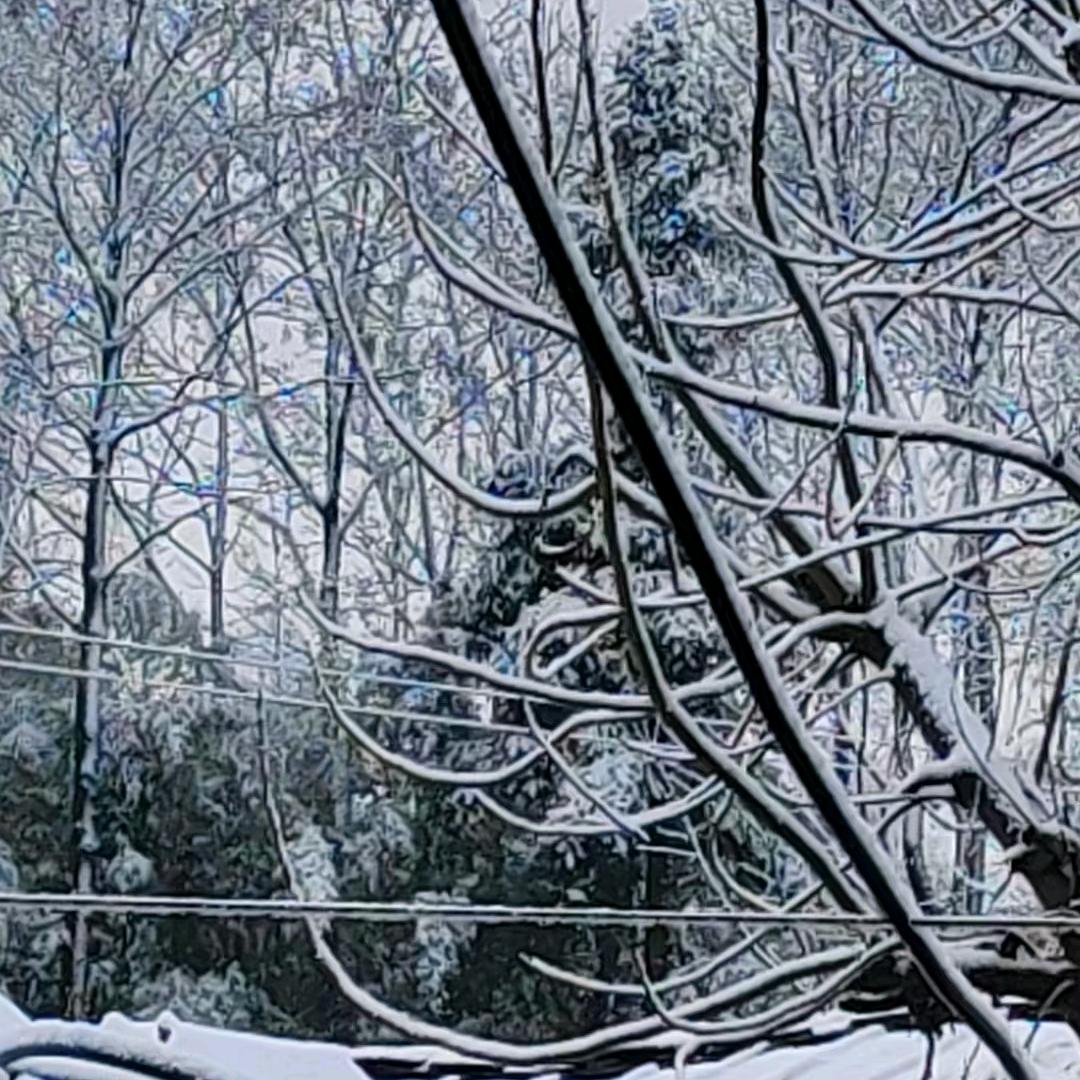 肖媛媛(肖老元)。