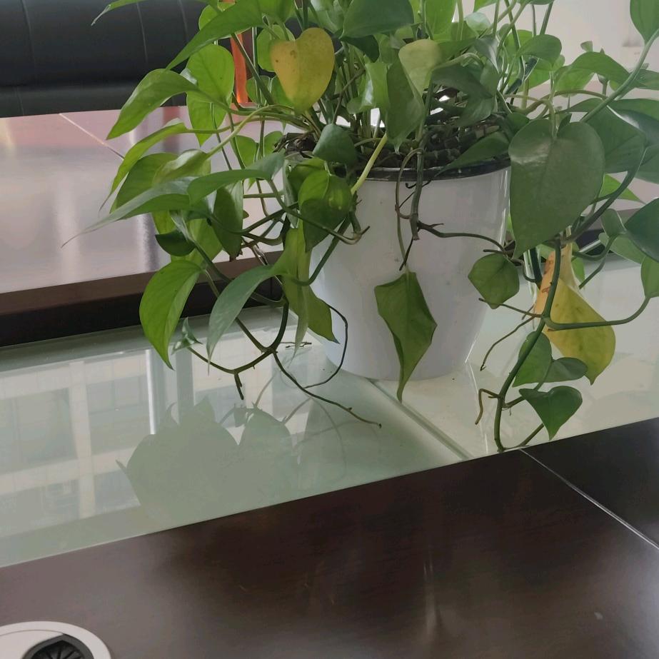 孤独