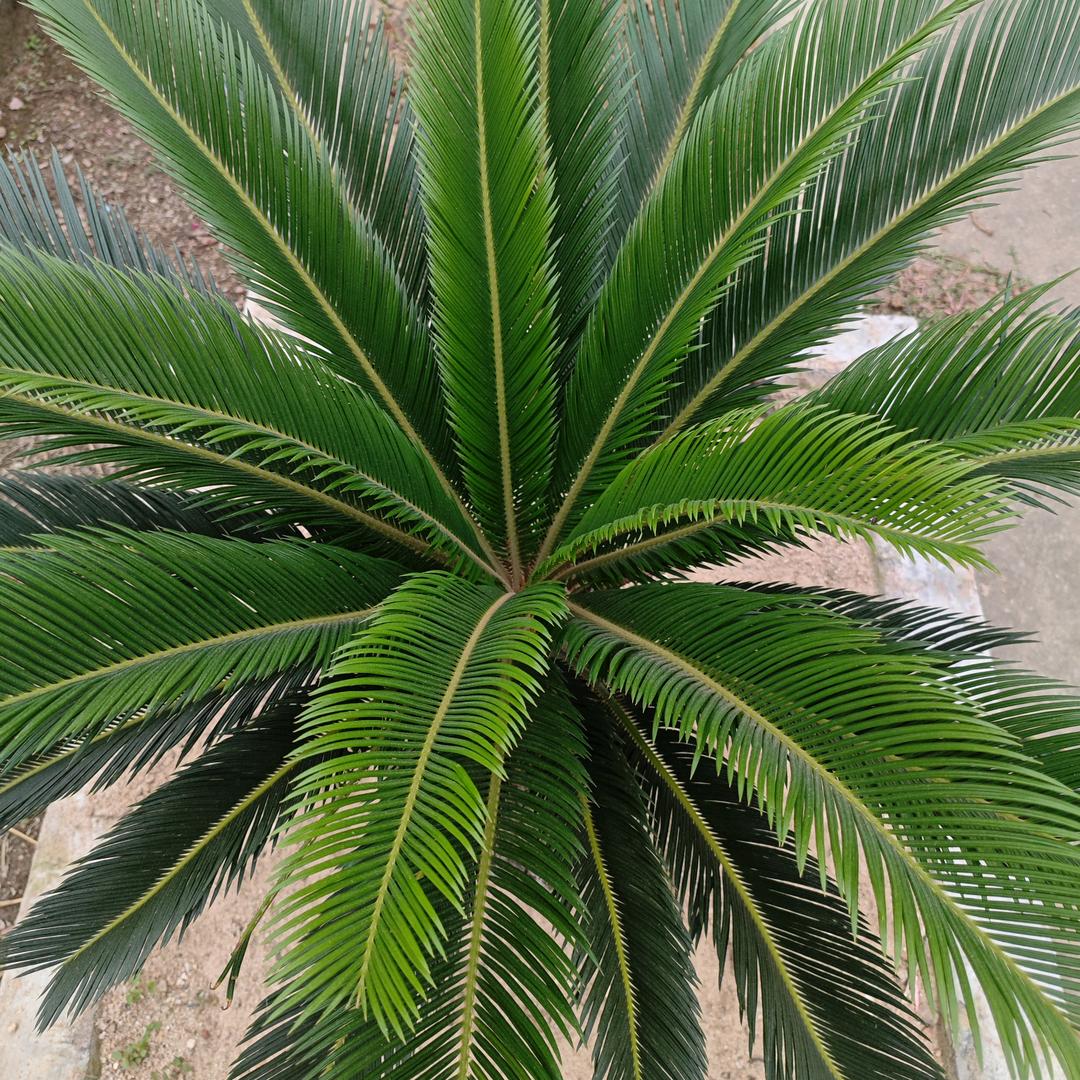 静静的等待。