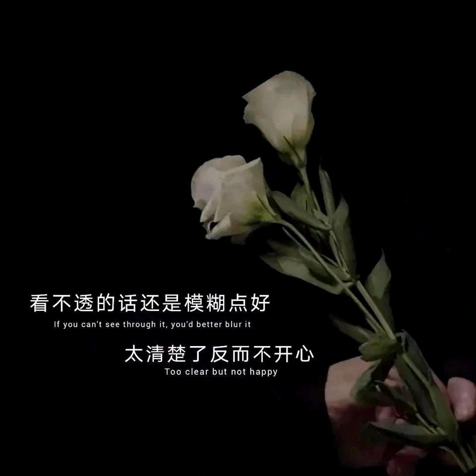 🌉🌁小桥流水🌊🌊