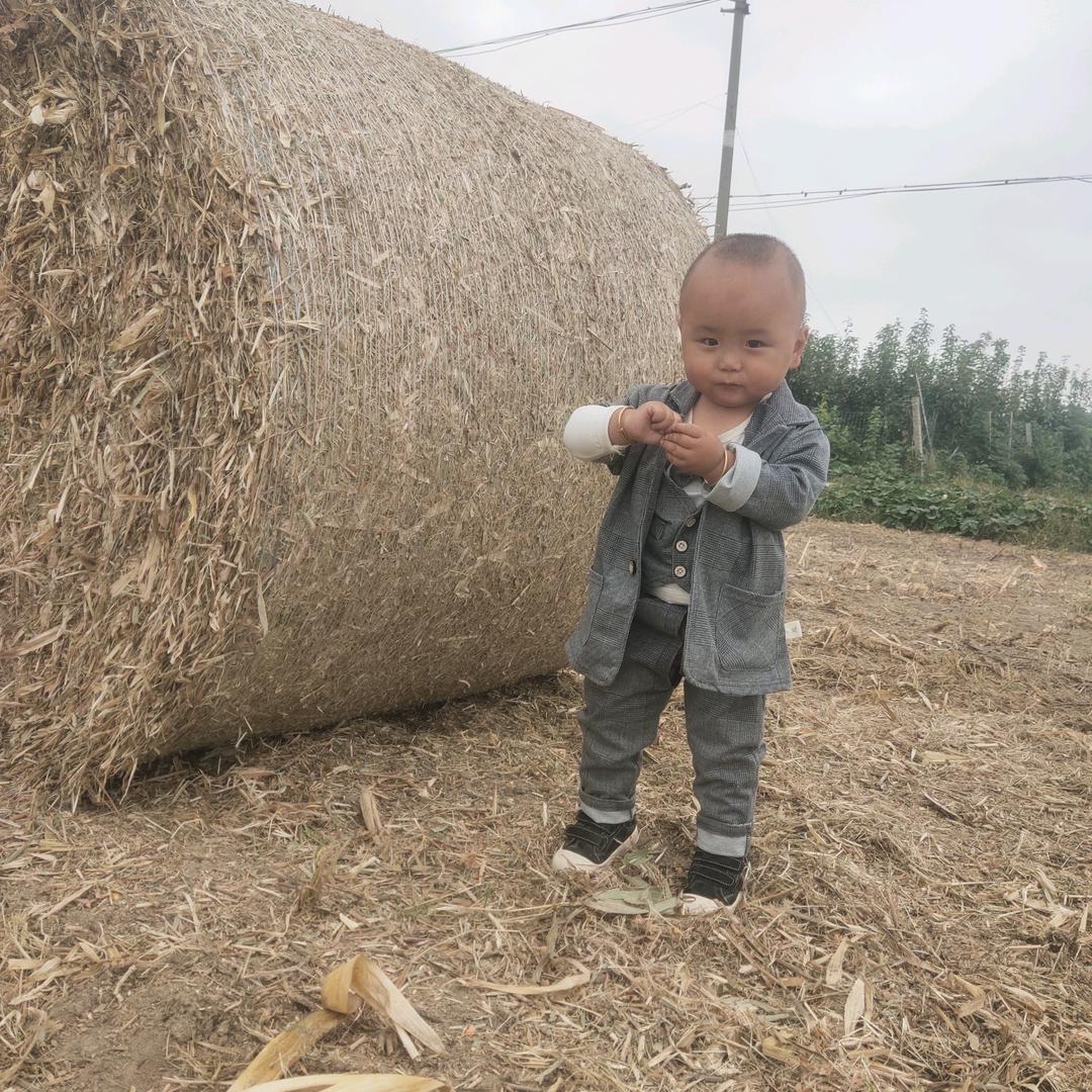 三嫂危冷运输