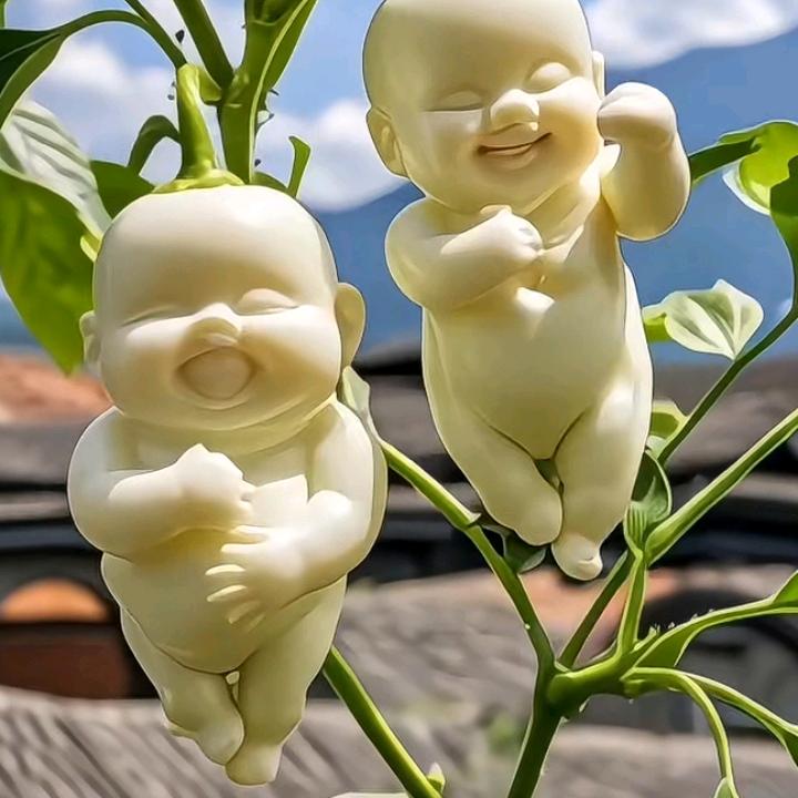 开心美一天