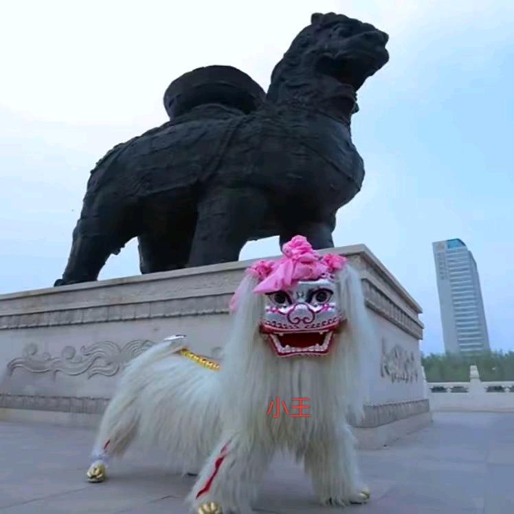 小王杂技舞狮舞龙艺术团