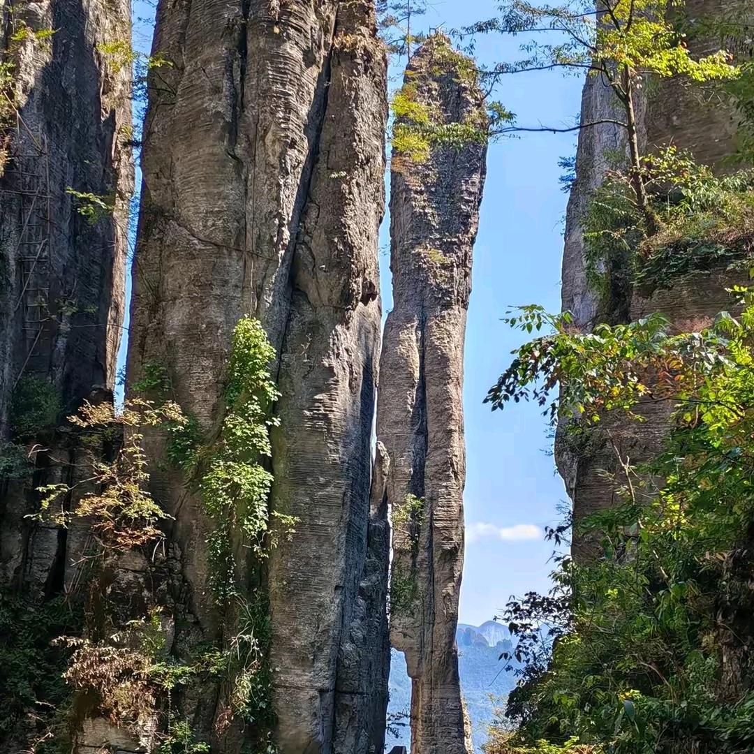 晨辉
