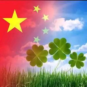 轮胎销售