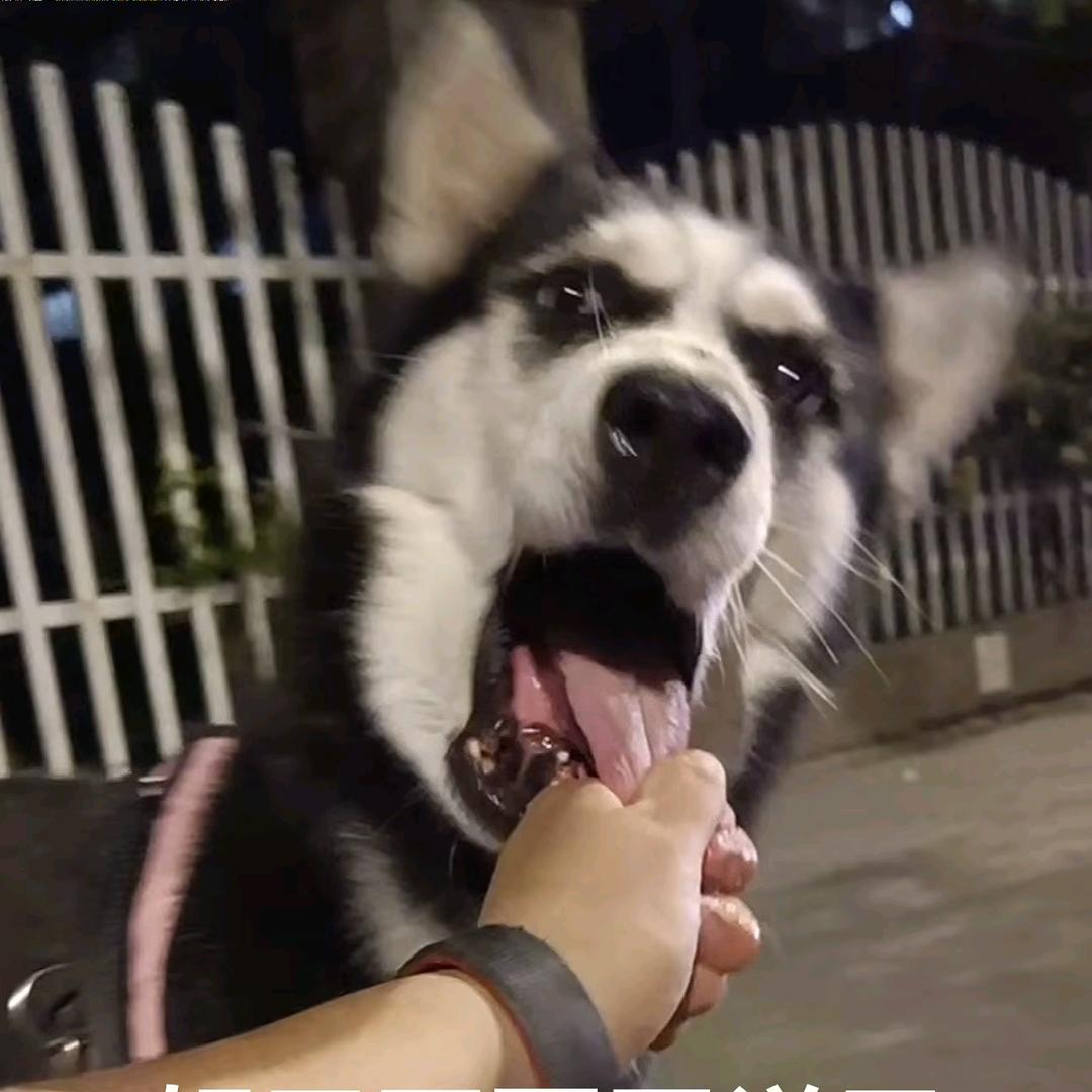 失之泰然