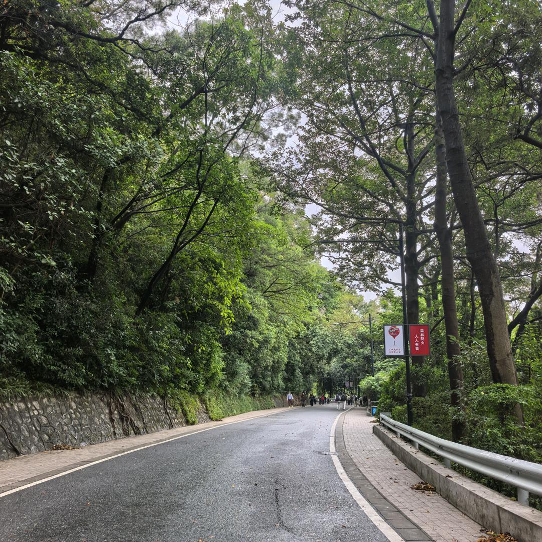 爱跑步的小简（备战半马）