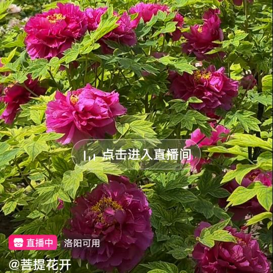 幸福的一家人
