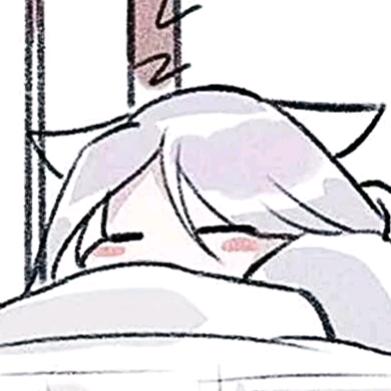 半只猫