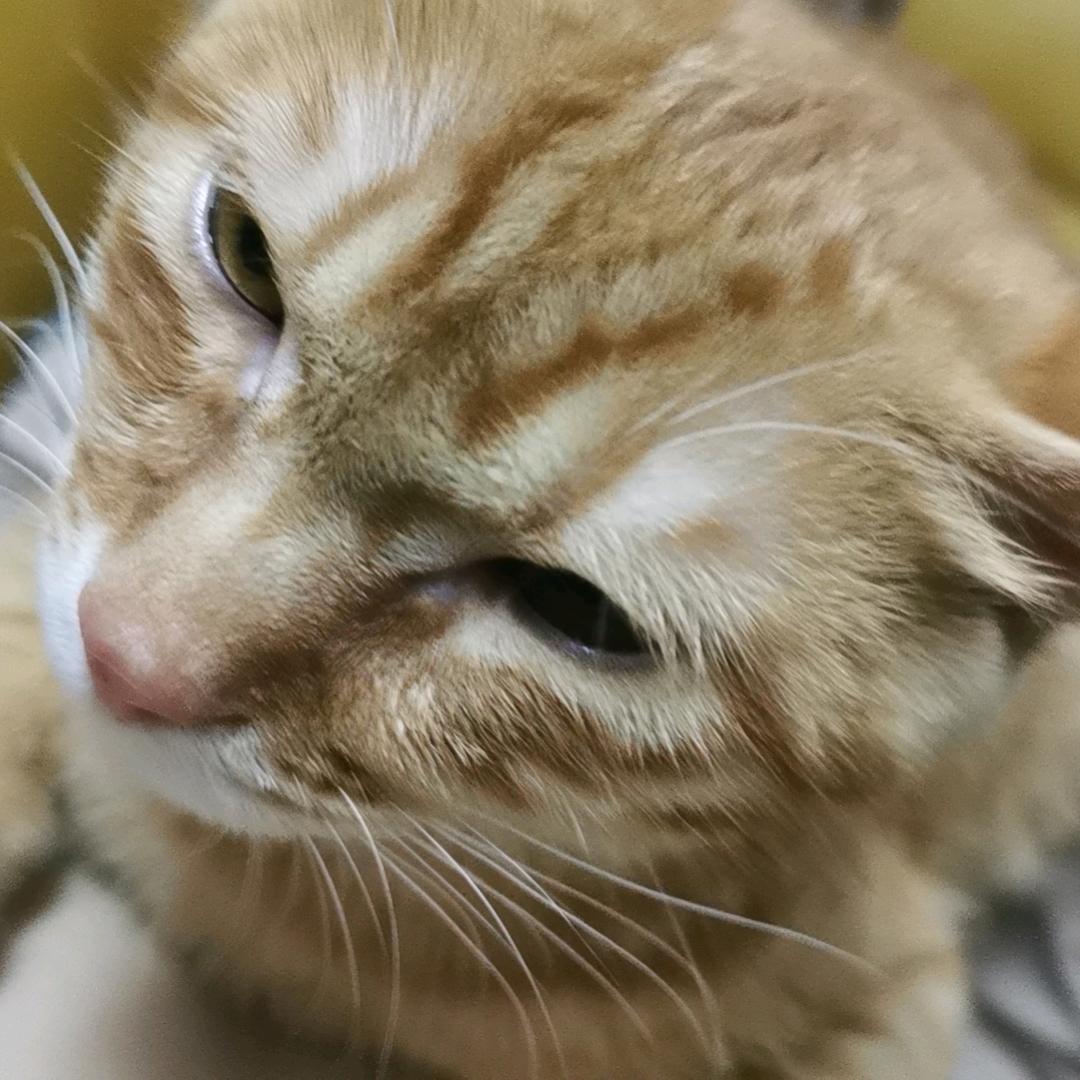 清风2