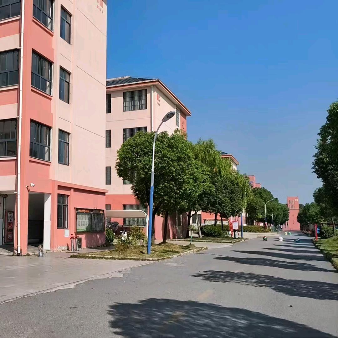 大伟老师日常