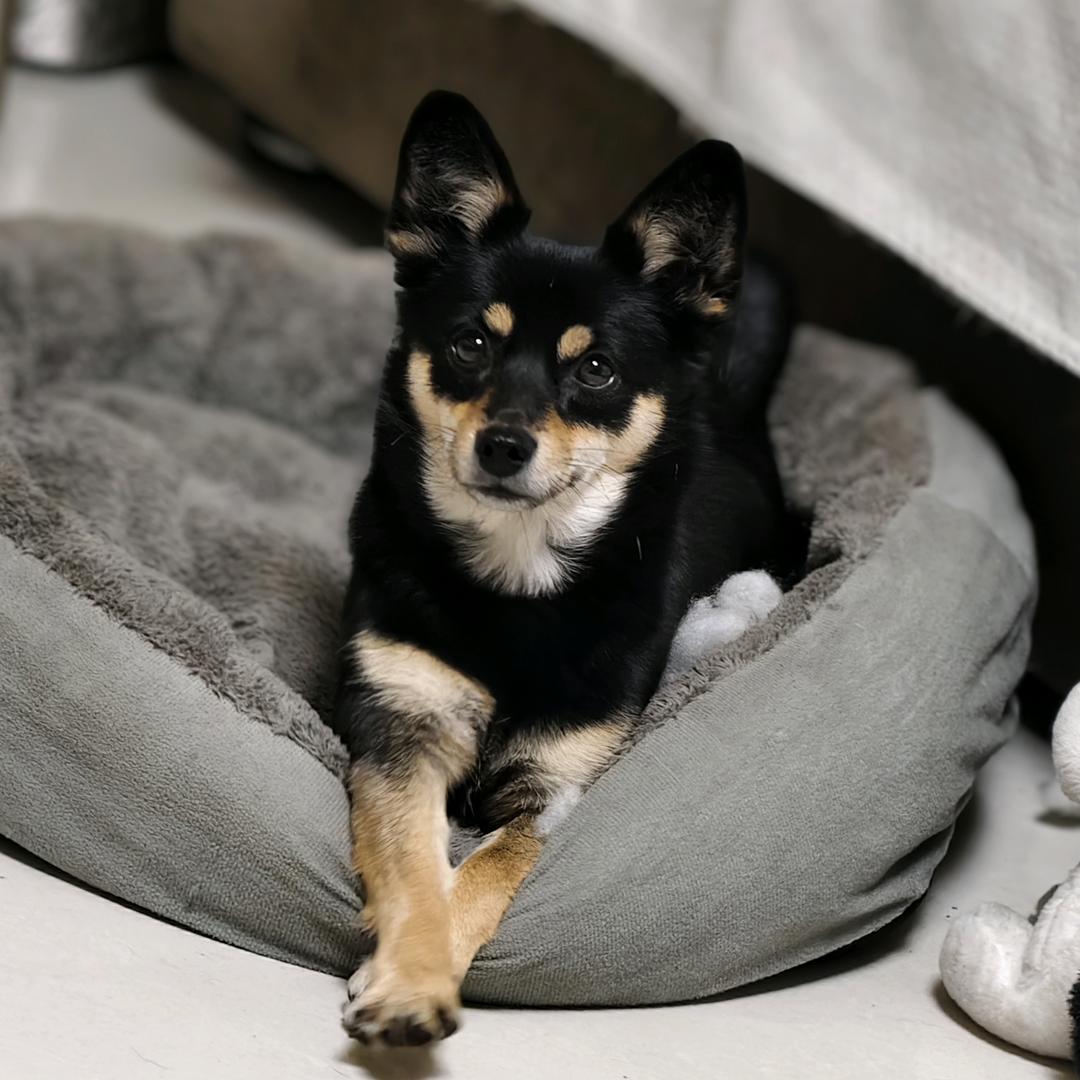 欣欣然张开了眼