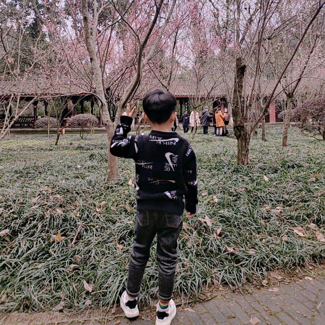 白衣丶殇（新人互关）