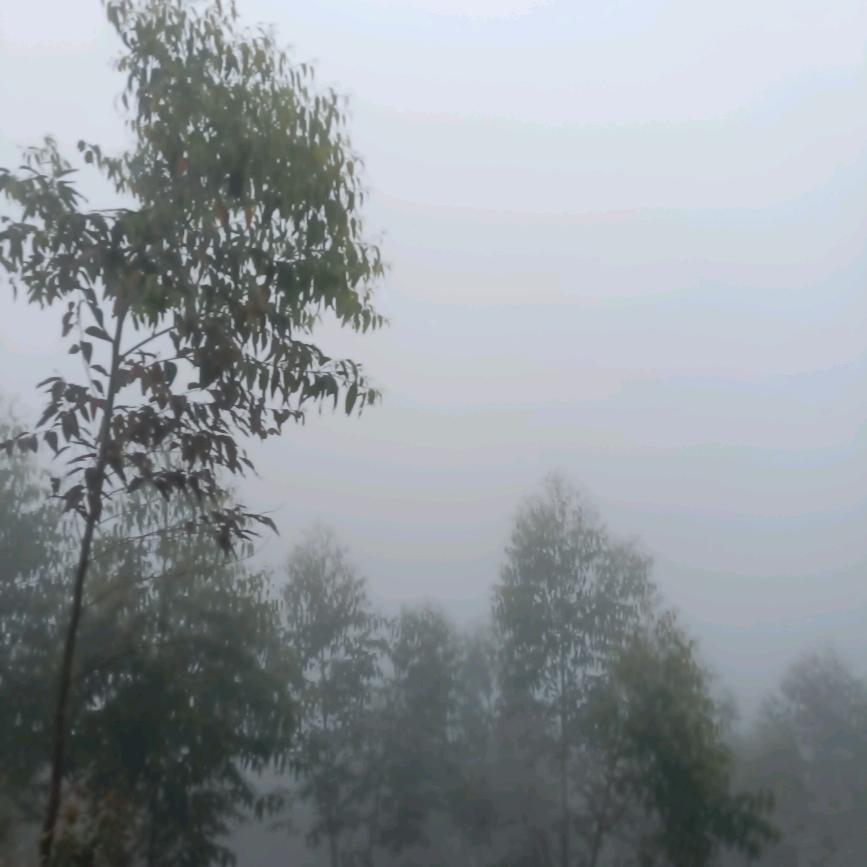 天生，天养