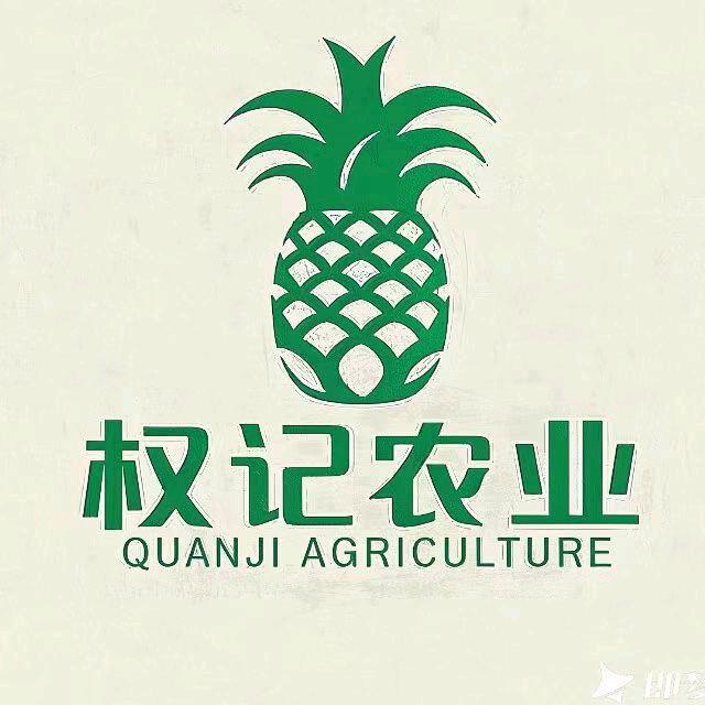 广东徐闻县权记菠萝果业有限公司
