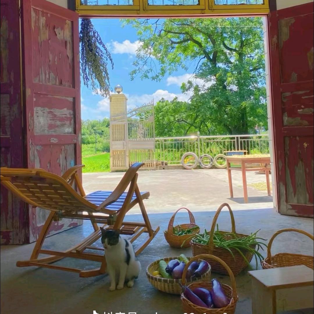 湖南湘潭妹子卖小菜