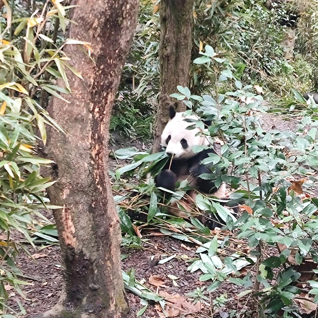 手残党变美指南