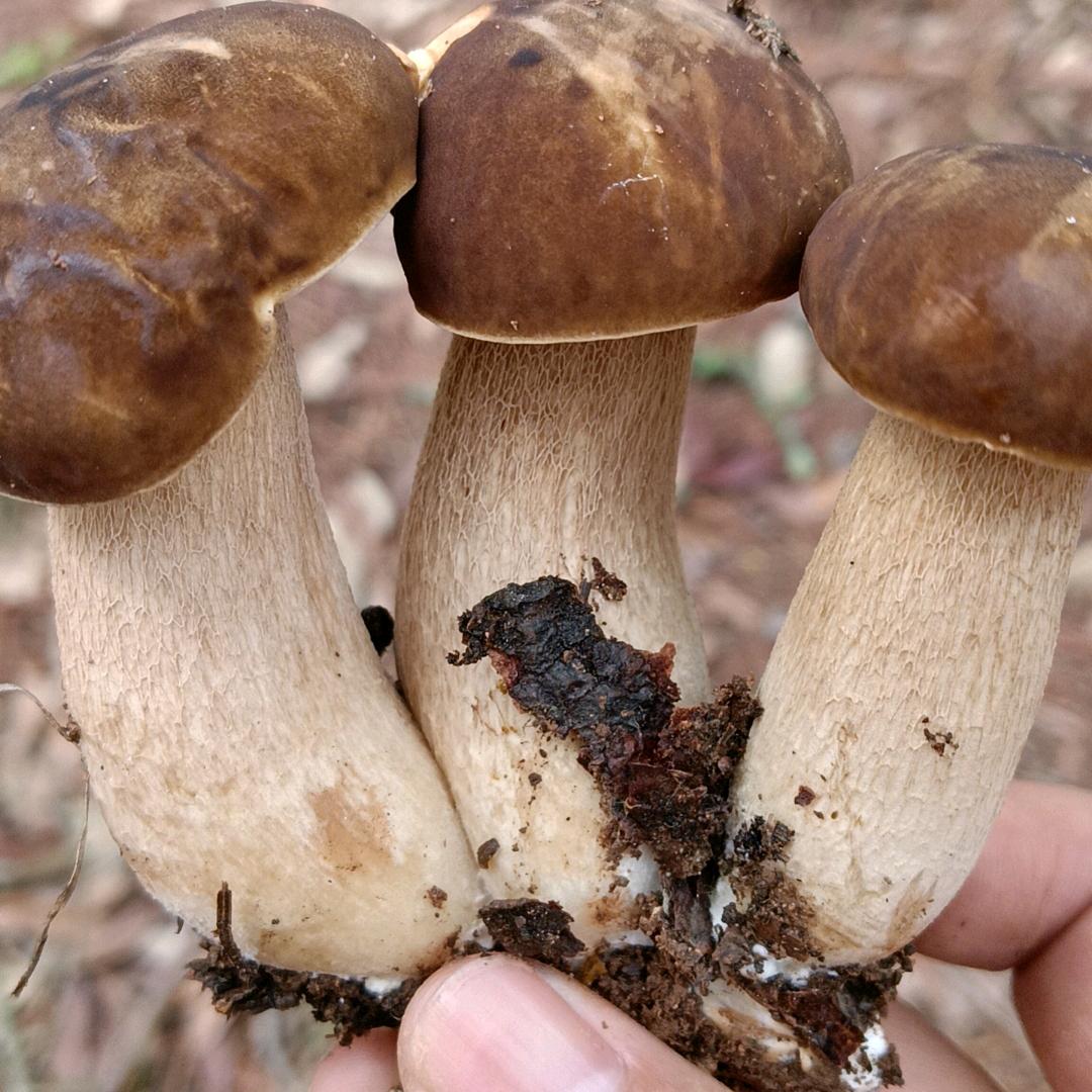 好久不见