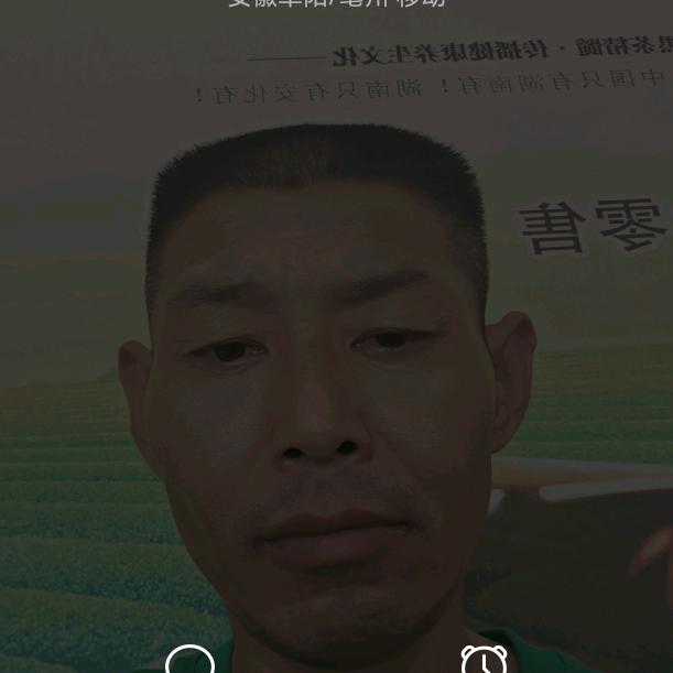 阜阳市颍东区黄山毛峰安吉白茶黄金芽茶叶店