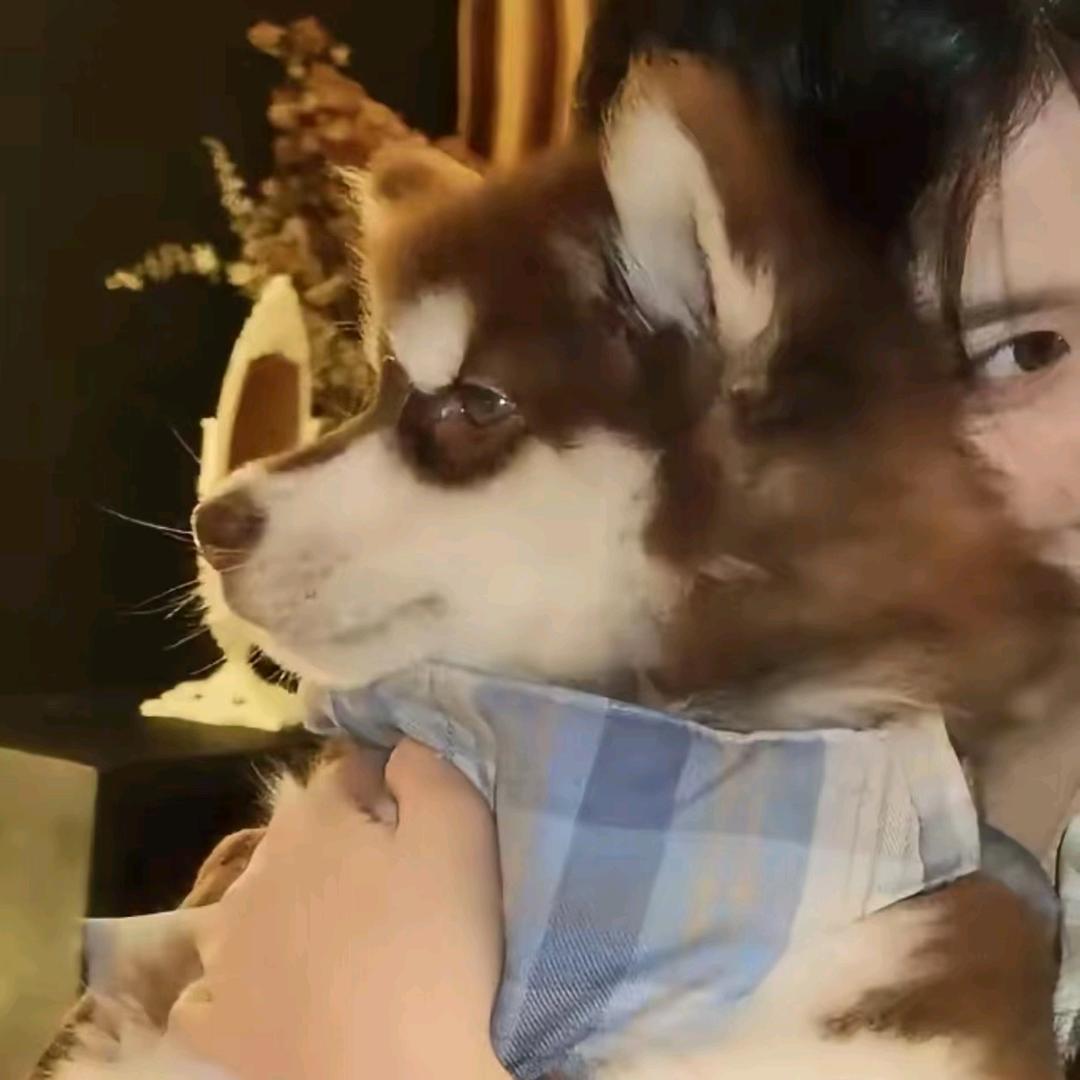 监护人
