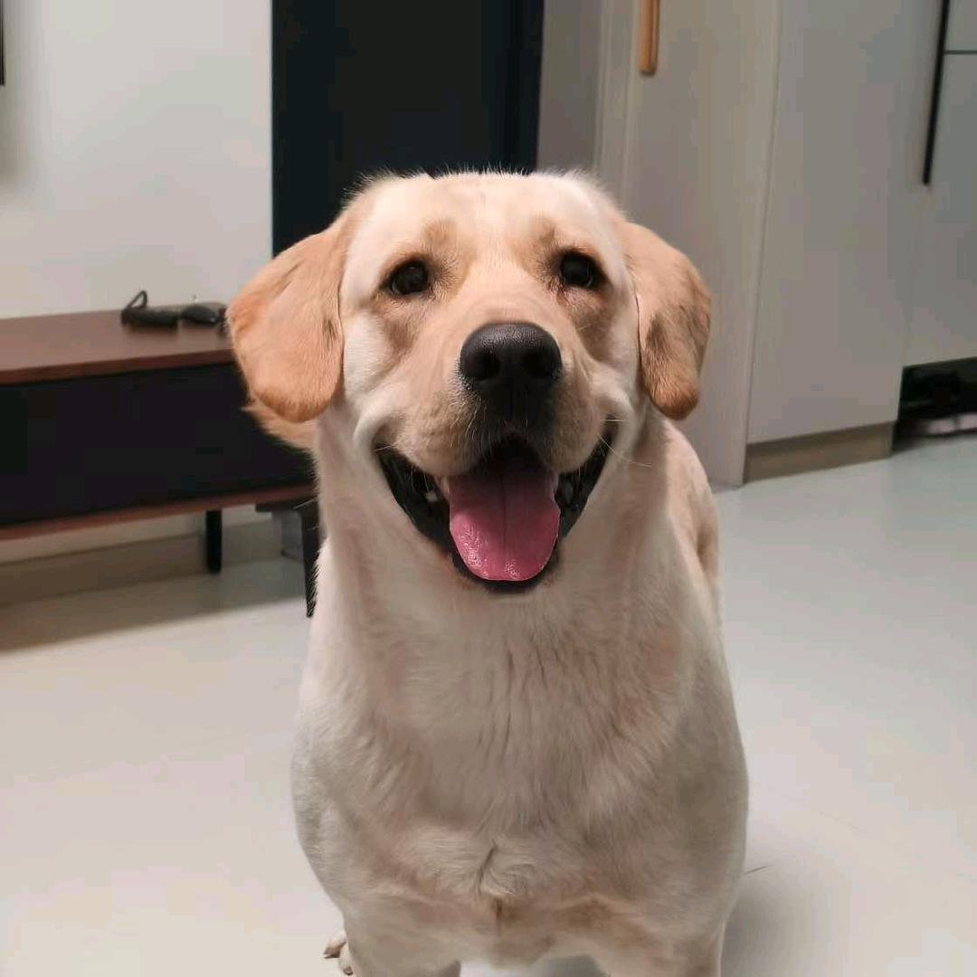 大李