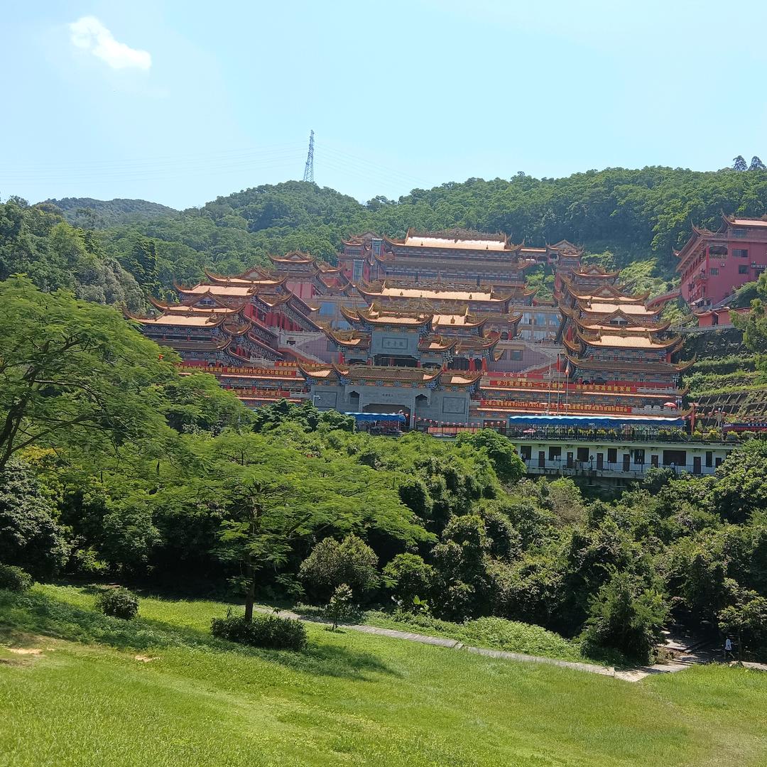 小刘爱生活