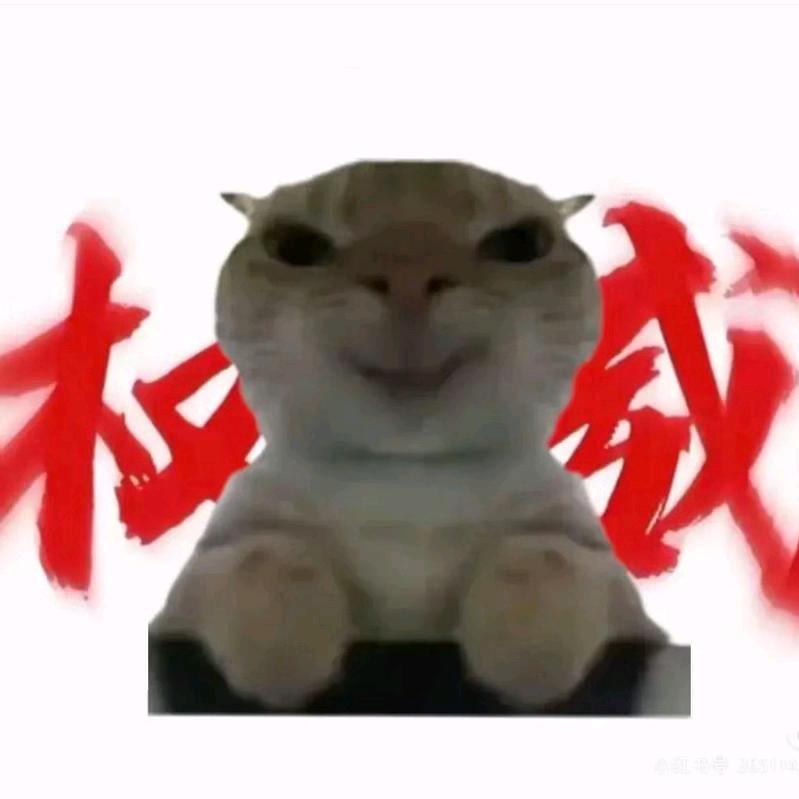 ꧁疑似杂食党꧂