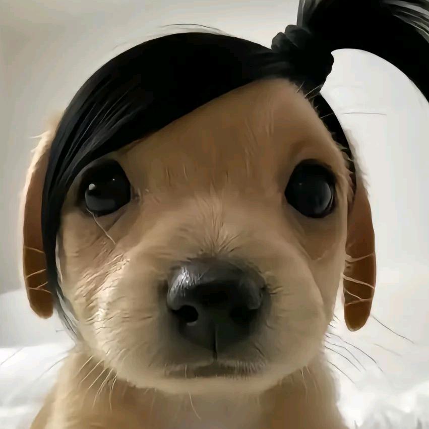 图图每天cos男仆勾引壮壮妈