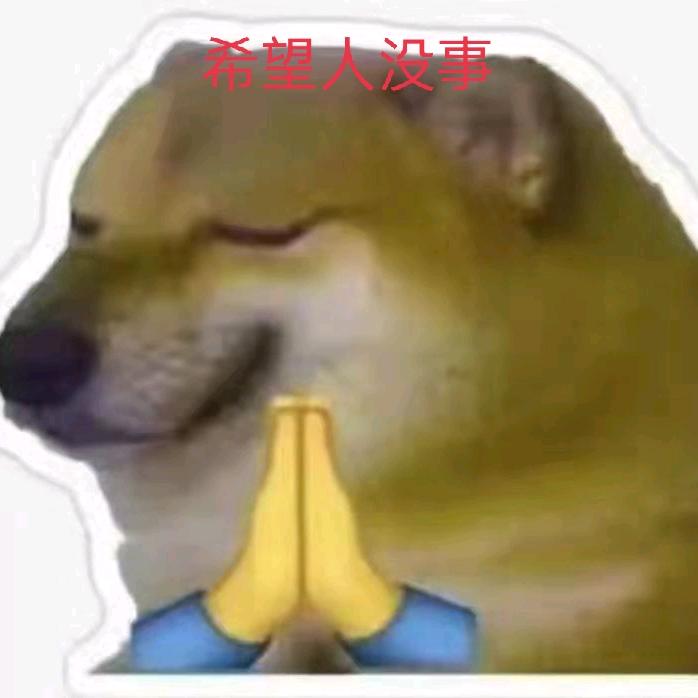 斯内克的僚机✈️