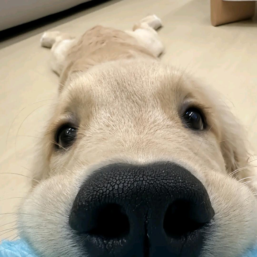 臭臭原