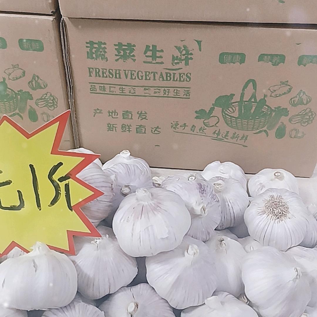 秋秋果果鲜