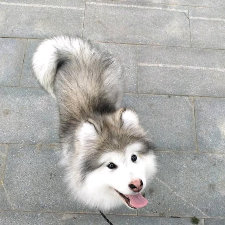 暖南倾绿
