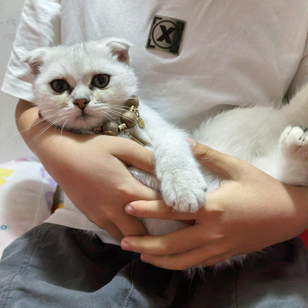 王芳芳