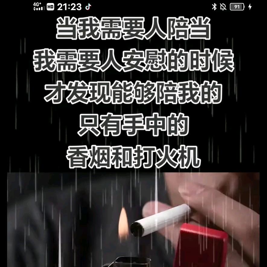 M涛